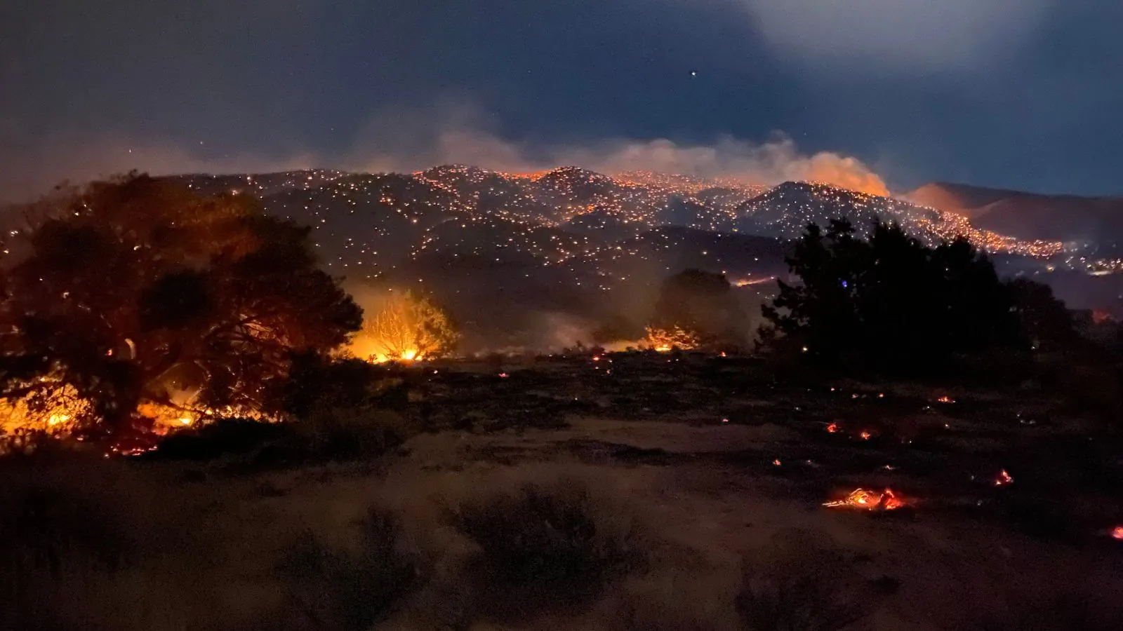 United States evacuates more than 40,000 people as massive wildfire spreads near Reno United States evacuates more than 40,000 people as massive wildfire spreads near Reno