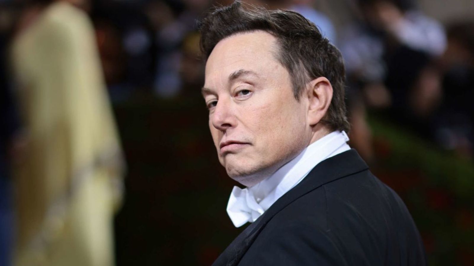 SpaceX faces a major financial setback after reporting hundreds of millions in losses