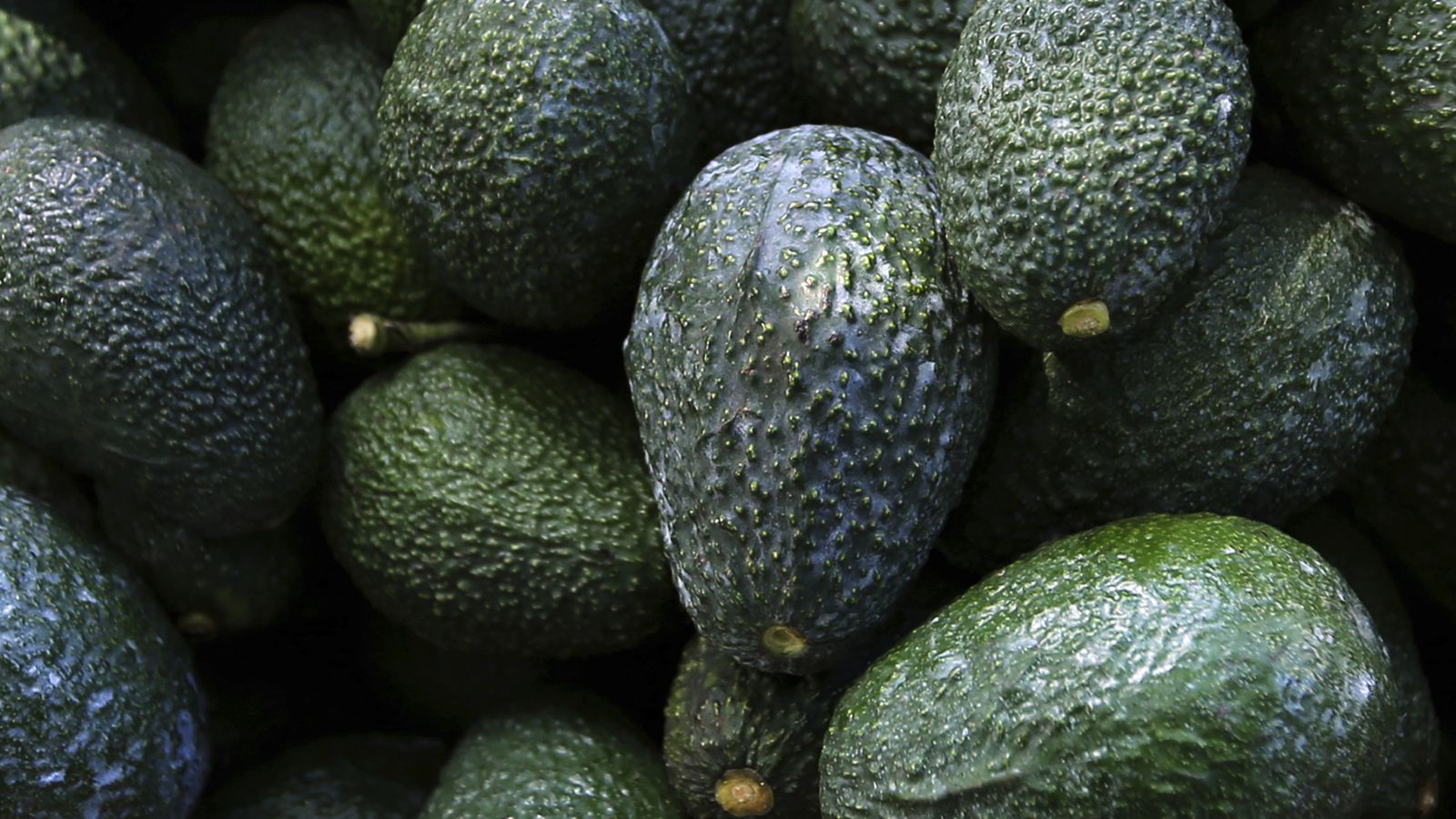 Mexican avocado exports to the United States halted over organized crime threats