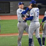 Dodgers punch their ticket to the MLB Playoffs with win over reds Several Dodgers players celebrating another victory on the pitcher's mound