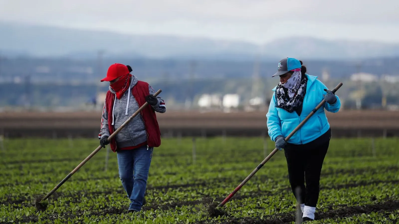 Trump administration threatens federal funding for states that do not report undocumented immigrants Trump administration threatens federal funding for states that do not report undocumented immigrants