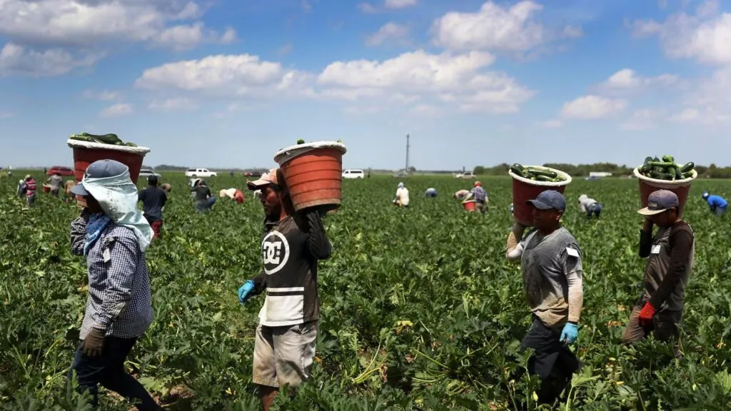 Several people carrying containers while working in a field