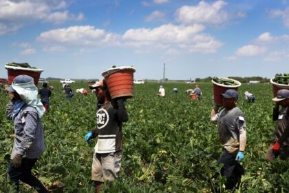Several people carrying containers while working in a field